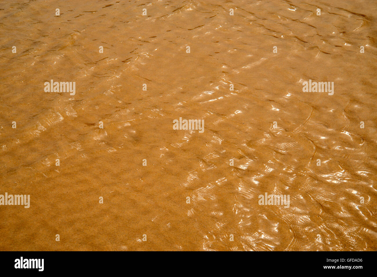 Ripples on sand viewed through the water. Stock Photo