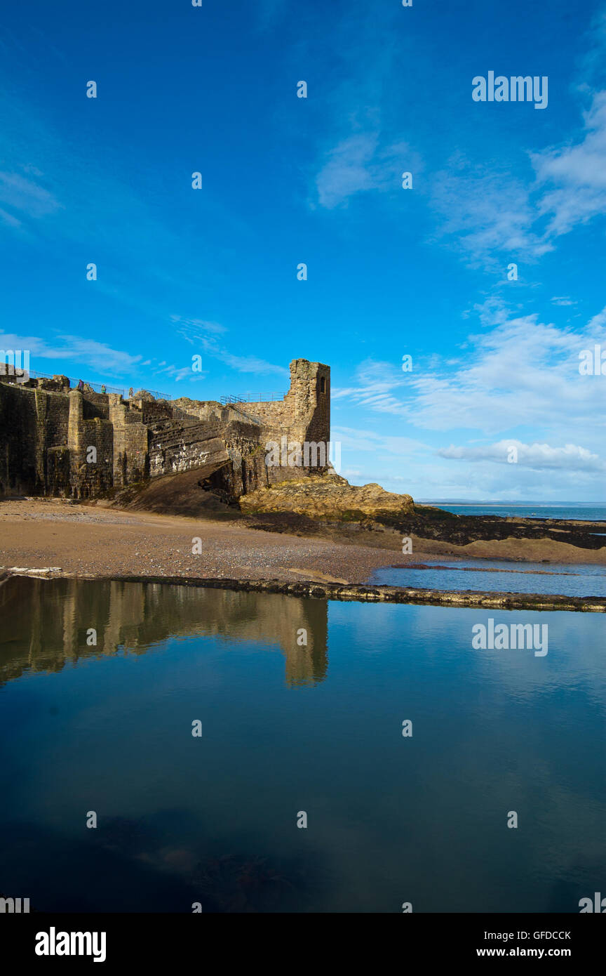 Castle Sands, St Andrews, Fife, Scotland Stock Photo Alamy
