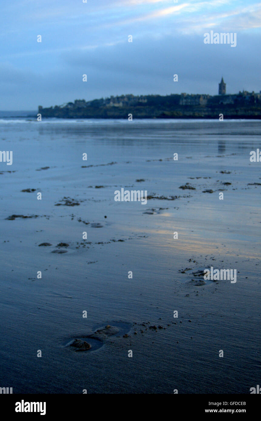 West Sands at dusk, St Andrews, Fife, Scotland Stock Photo