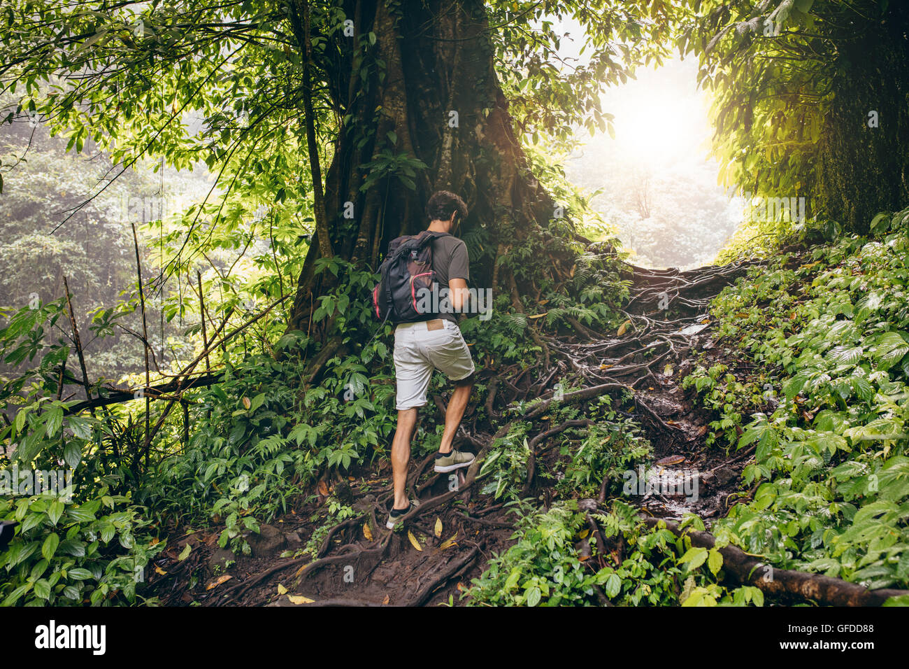 Young man hiking in tropical jungle with backpack. Male hiker with rucksack walking along forest trail. Stock Photo