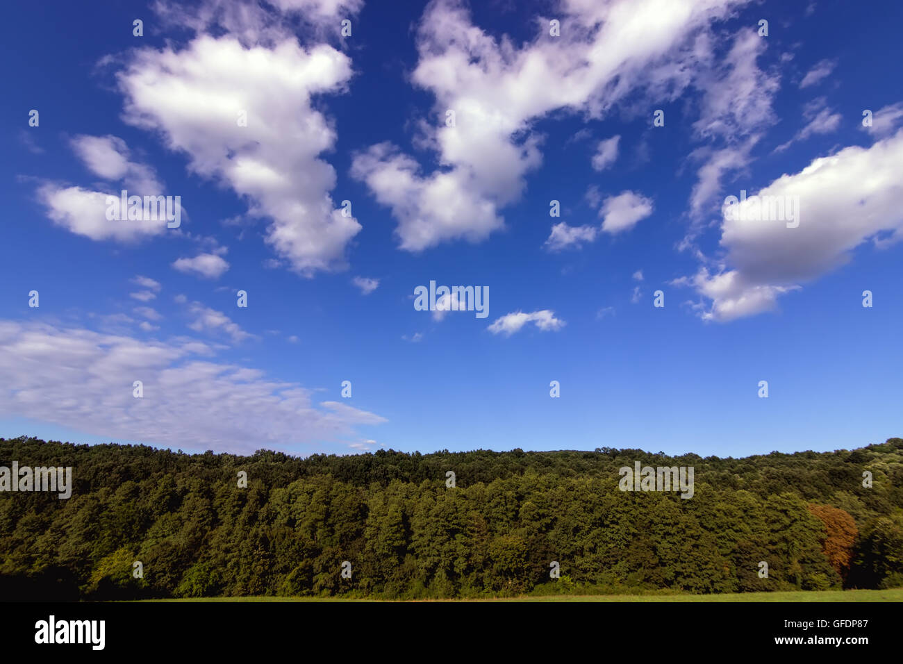 Colorful autumn Landscape. Trees Starting to Change Color in Early ...