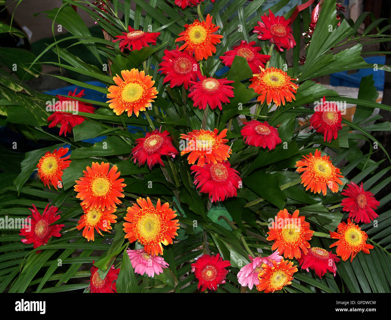 Bouquet of flowers in the Shanghai Flower and Bird Market China Stock