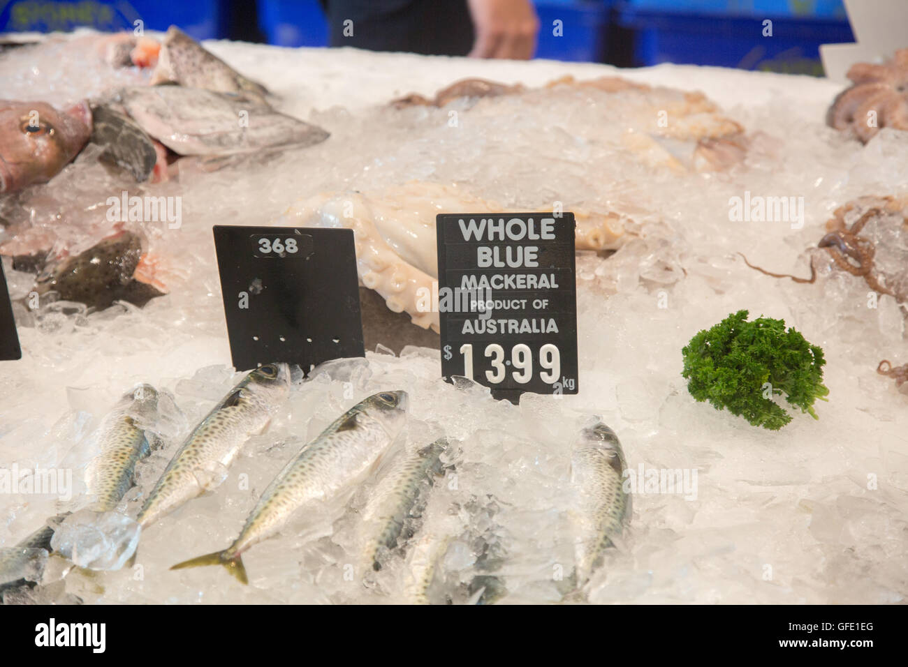 Australian fishmonger store in Manly,Sydney selling a range of fresh