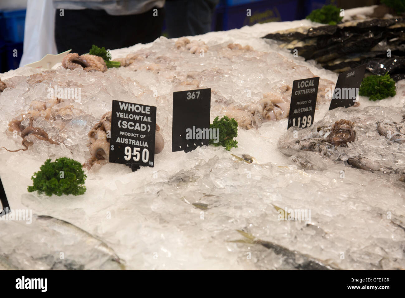 Australian fishmonger store in Manly,Sydney selling a range of fresh