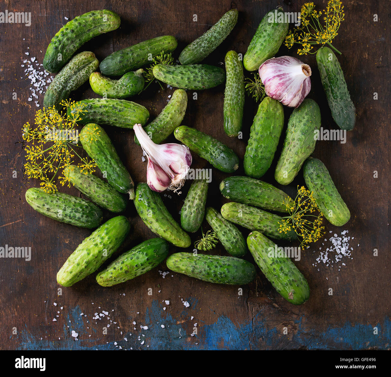 Cucumbers for pickling Stock Photo Alamy