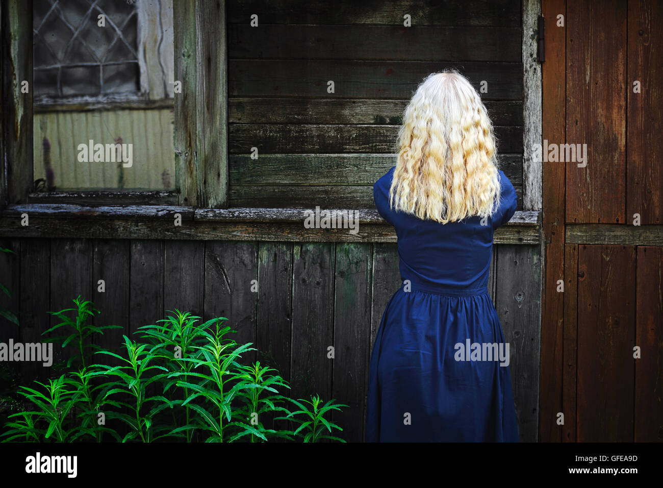 Girl with long blond hair in the blue dress standing at the old wooden shed Stock Photo