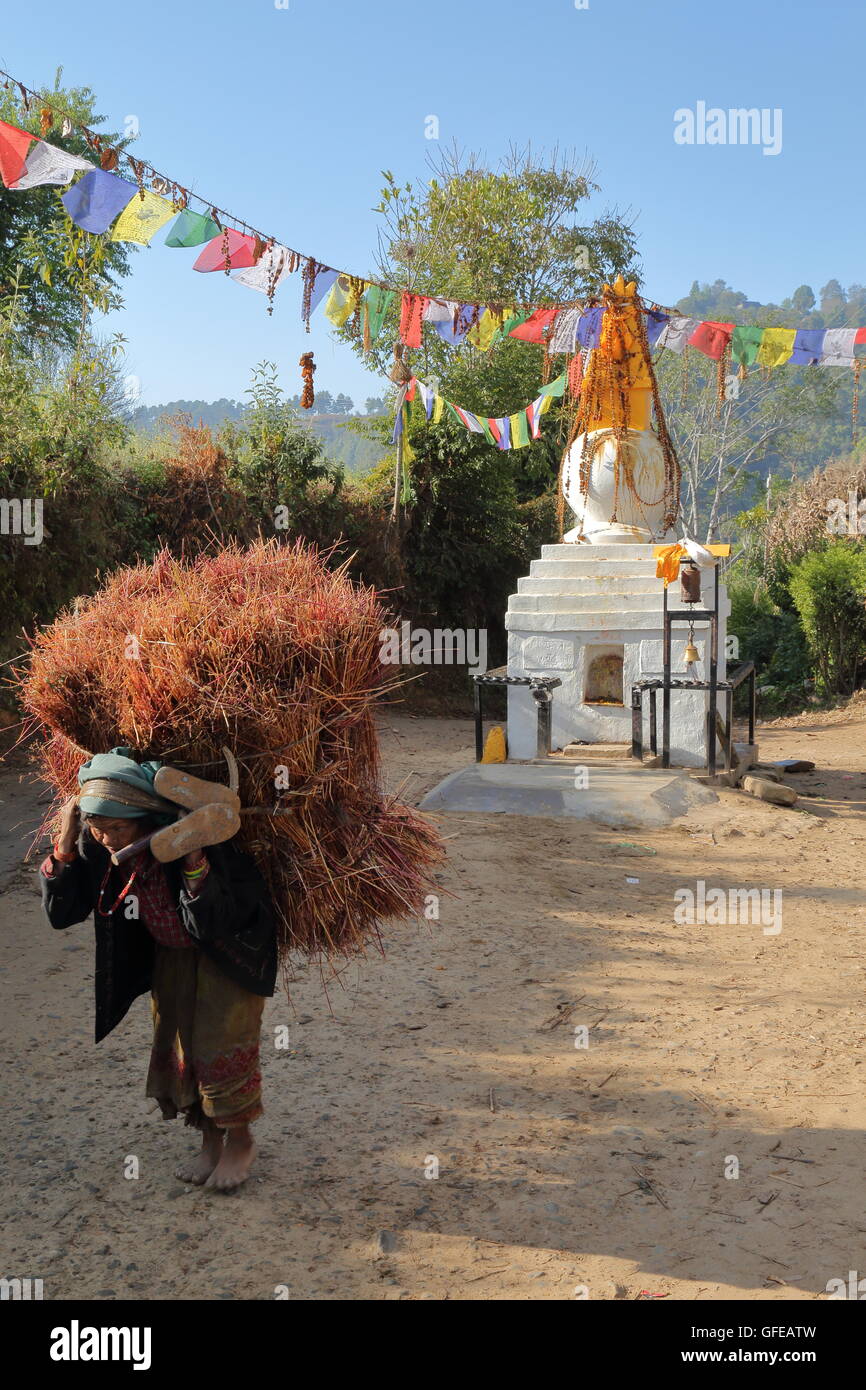 Local old woman carrying heavy bale of hay on her back in the countryside close to Dhulikhel, Nepal Stock Photo