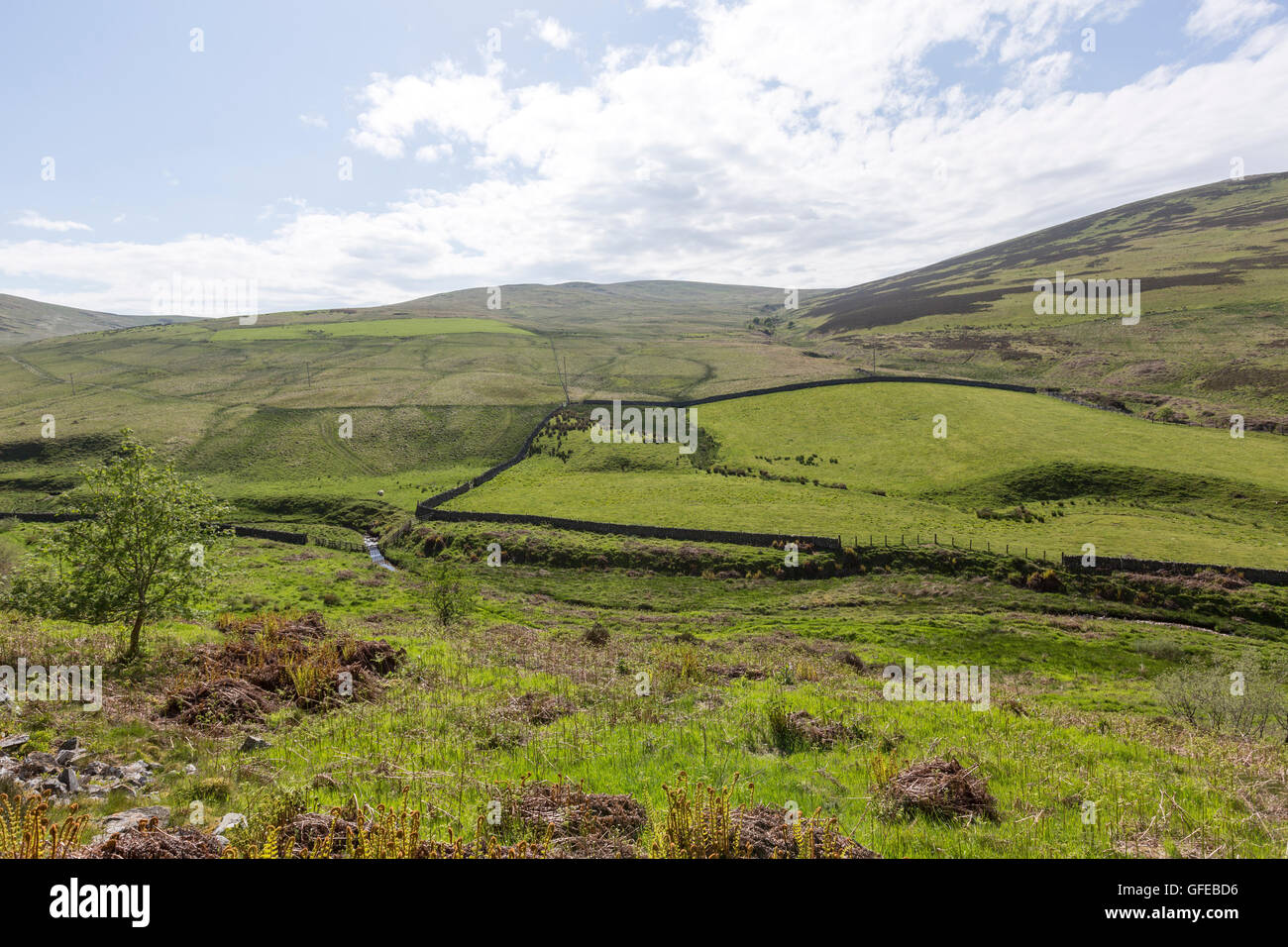 Scottish borders landscape hires stock photography and images Alamy