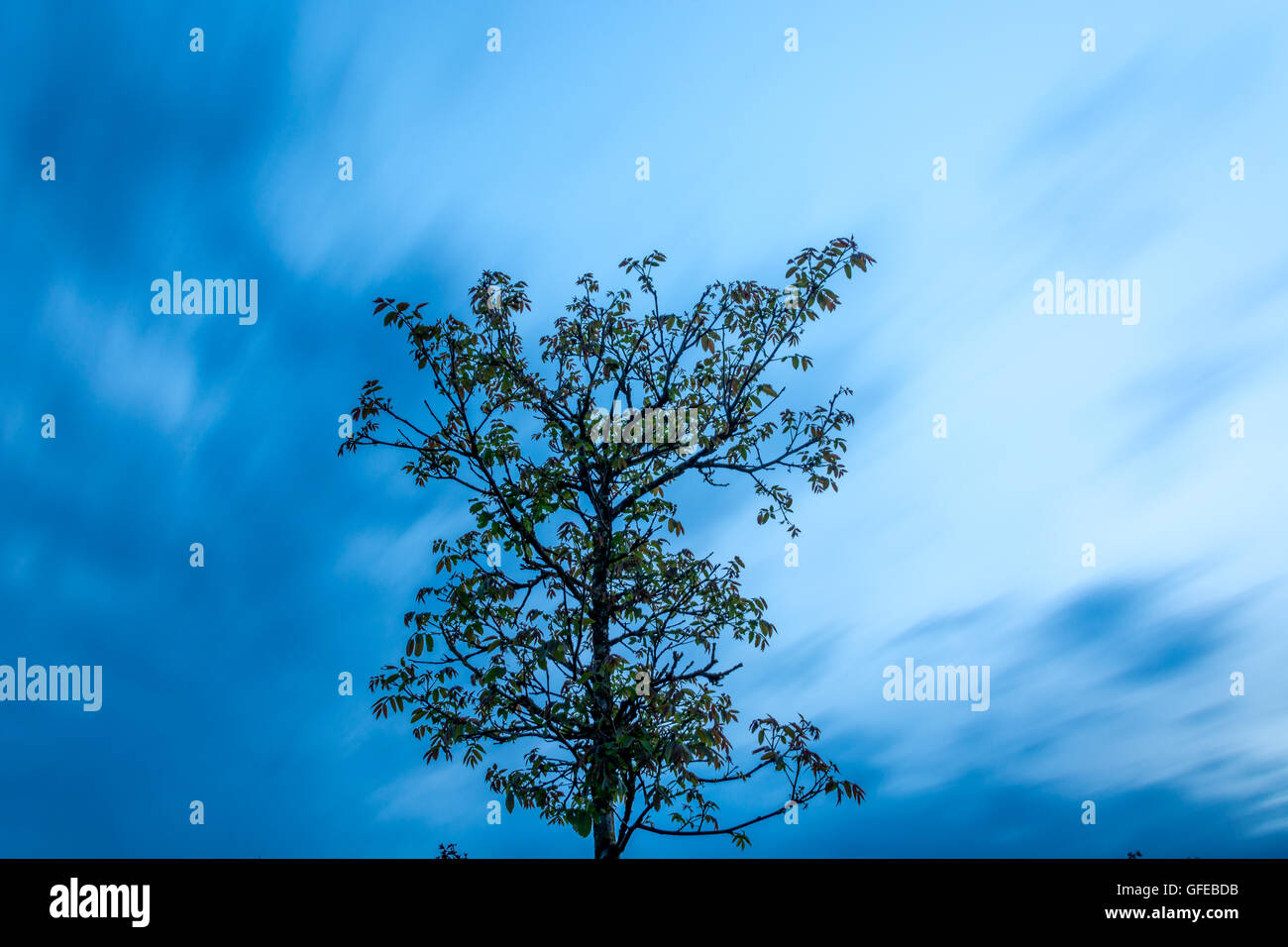 Stormy sky holland hi-res stock photography and images - Alamy