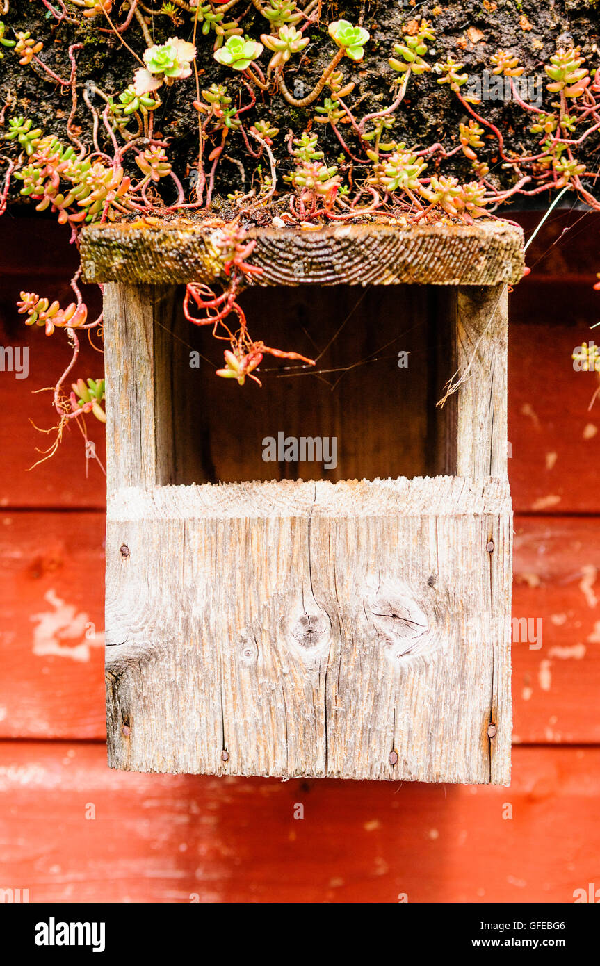 Open front bird box hires stock photography and images Alamy