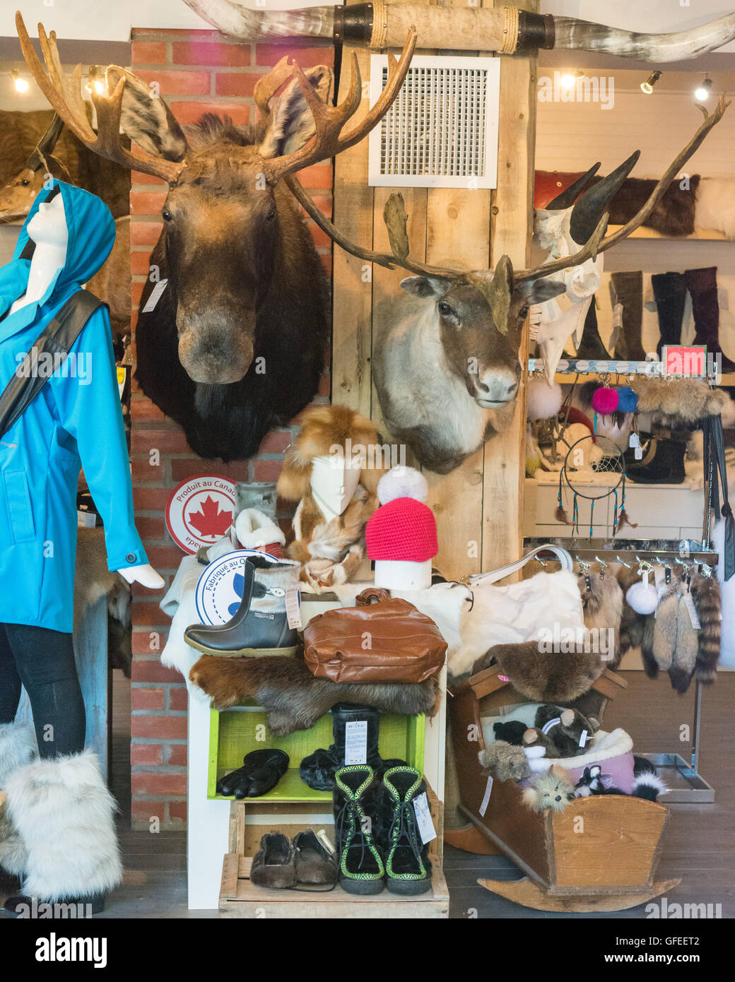 Canadian fur products - including head mounts, boots and accessories - on display in a shop (Bilodeau) in Quebec City, Canada Stock Photo