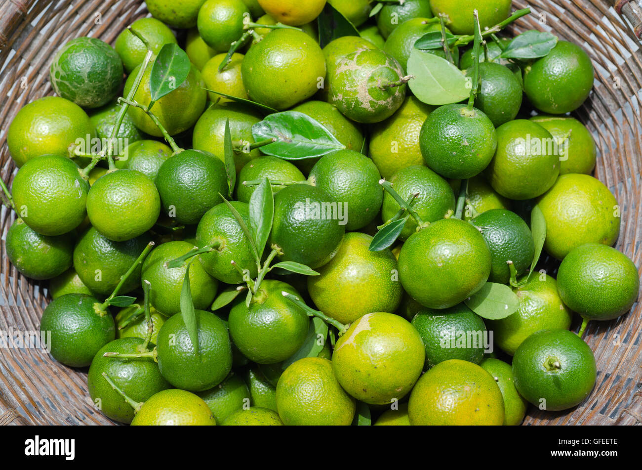 Green Kumquat In Basket Stock Photo Alamy