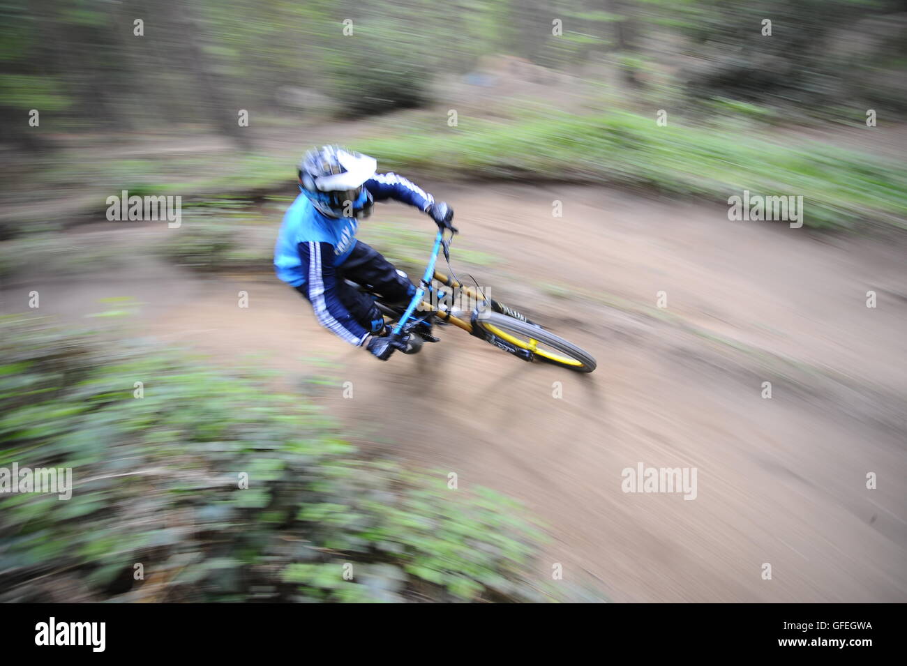 chicksands woods mountain biking