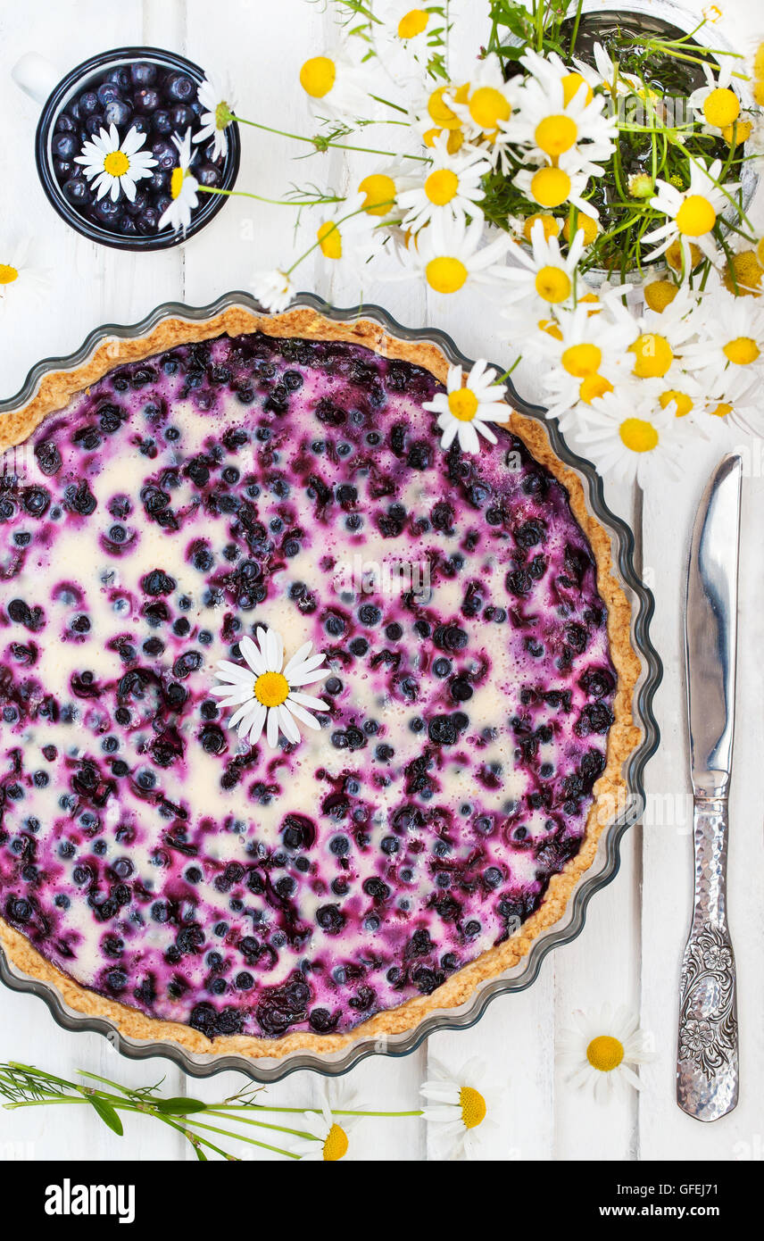 Fresh homemade creamy blueberry tart (open pie), top view Stock Photo