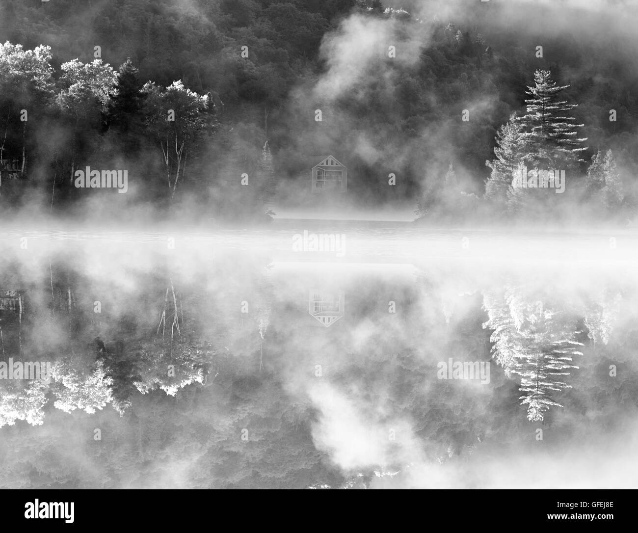 Black and white image of Misty Summer Morning in Mont Tremblant National Park-Canada. Stock Photo