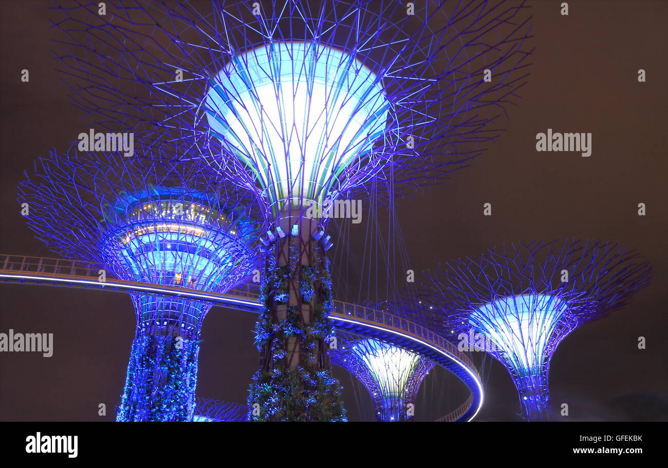 Gardens by the bay Supertree Grove Singapore. Stock Photo