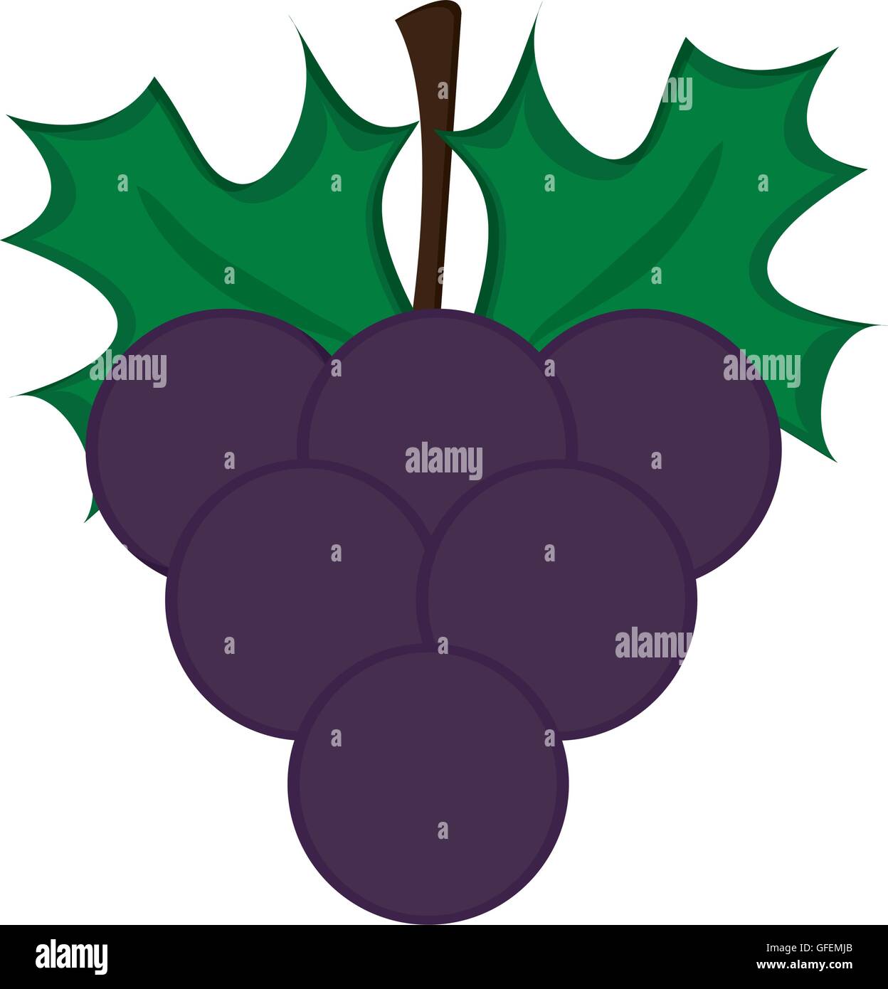 grape bunch icon Stock Vector Image & Art - Alamy