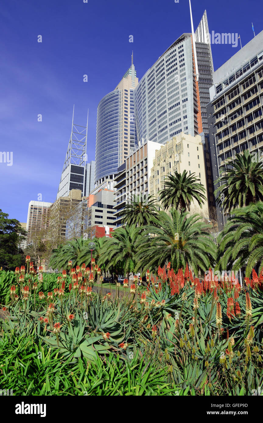 Sydney City skyline with flowers and park, Australia Stock Photo - Alamy