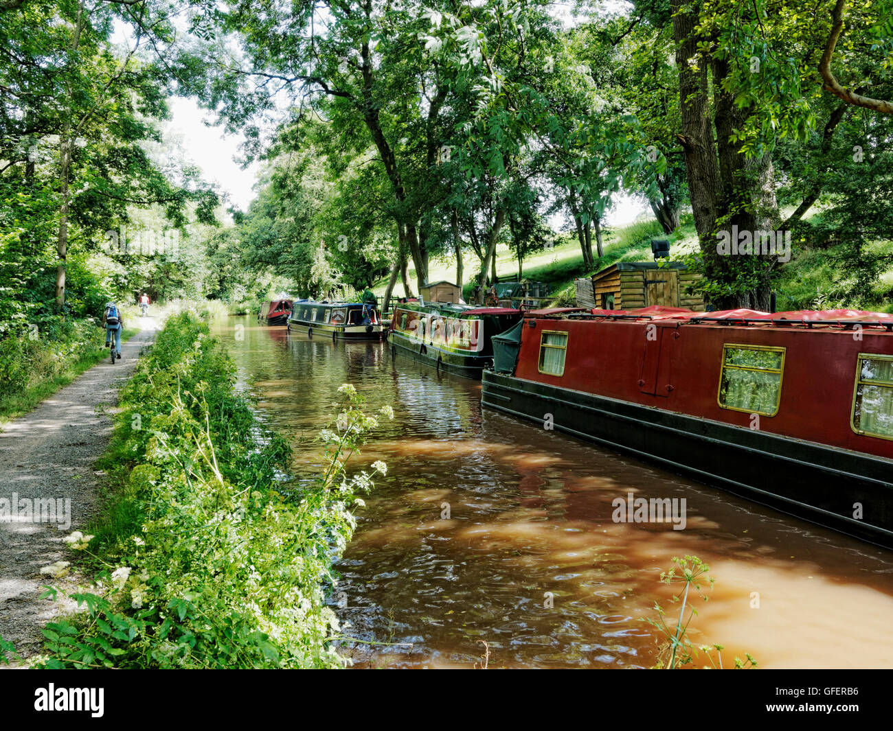Narrow boats moored on the Monmouth and Brecon Canal near Pencelli, Wales with cyclists on the adjacent towpath. Stock Photo