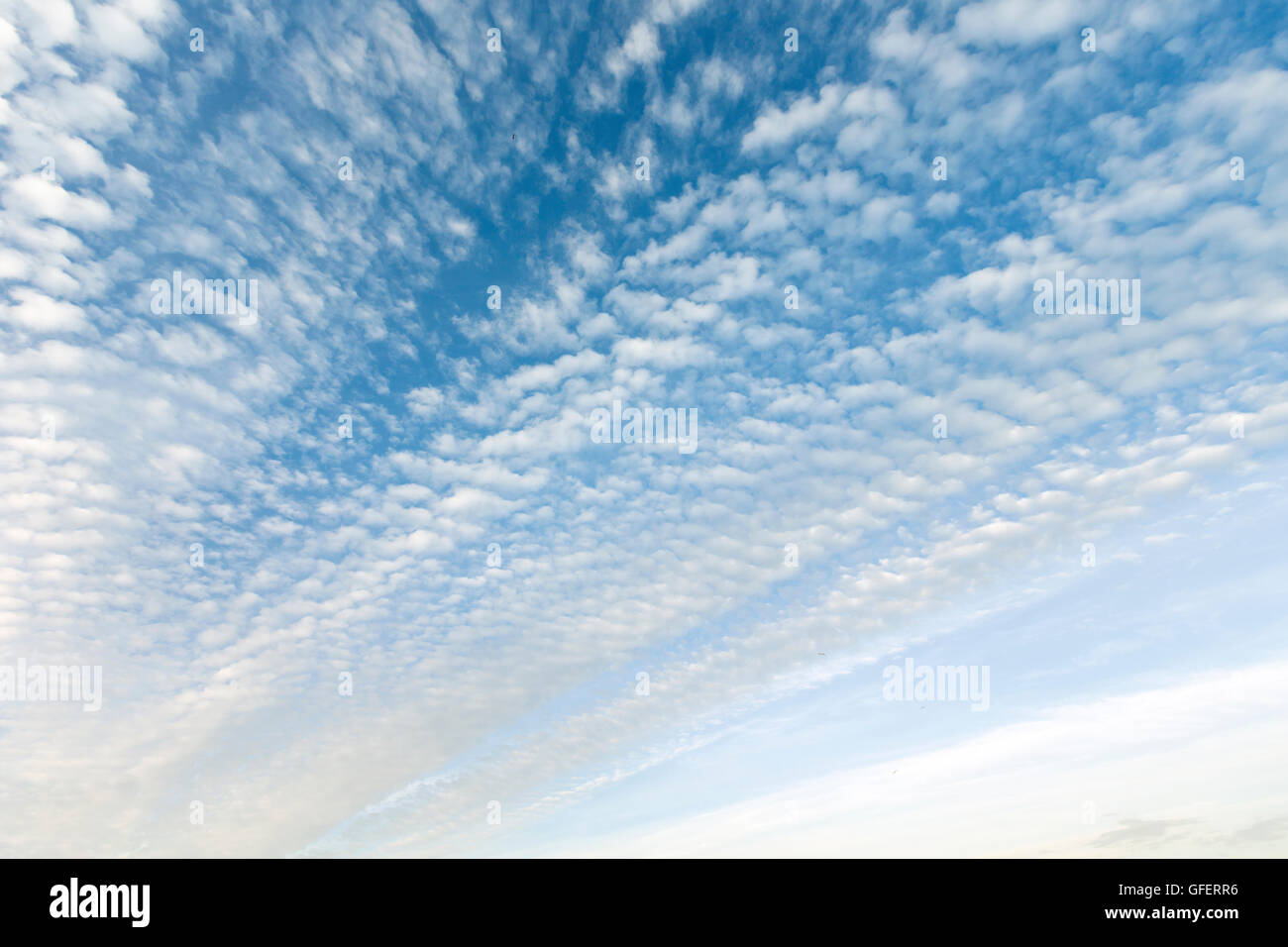 Blue sky with cumulus clouds background Stock Photo - Alamy