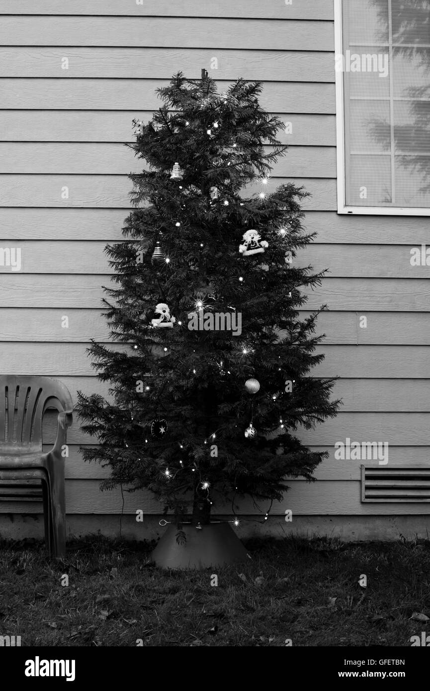 Christmas tree in back yard with lawn chairs and window Stock Photo