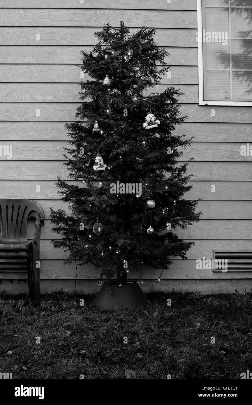 Christmas tree in back yard with lawn chairs and window Stock Photo