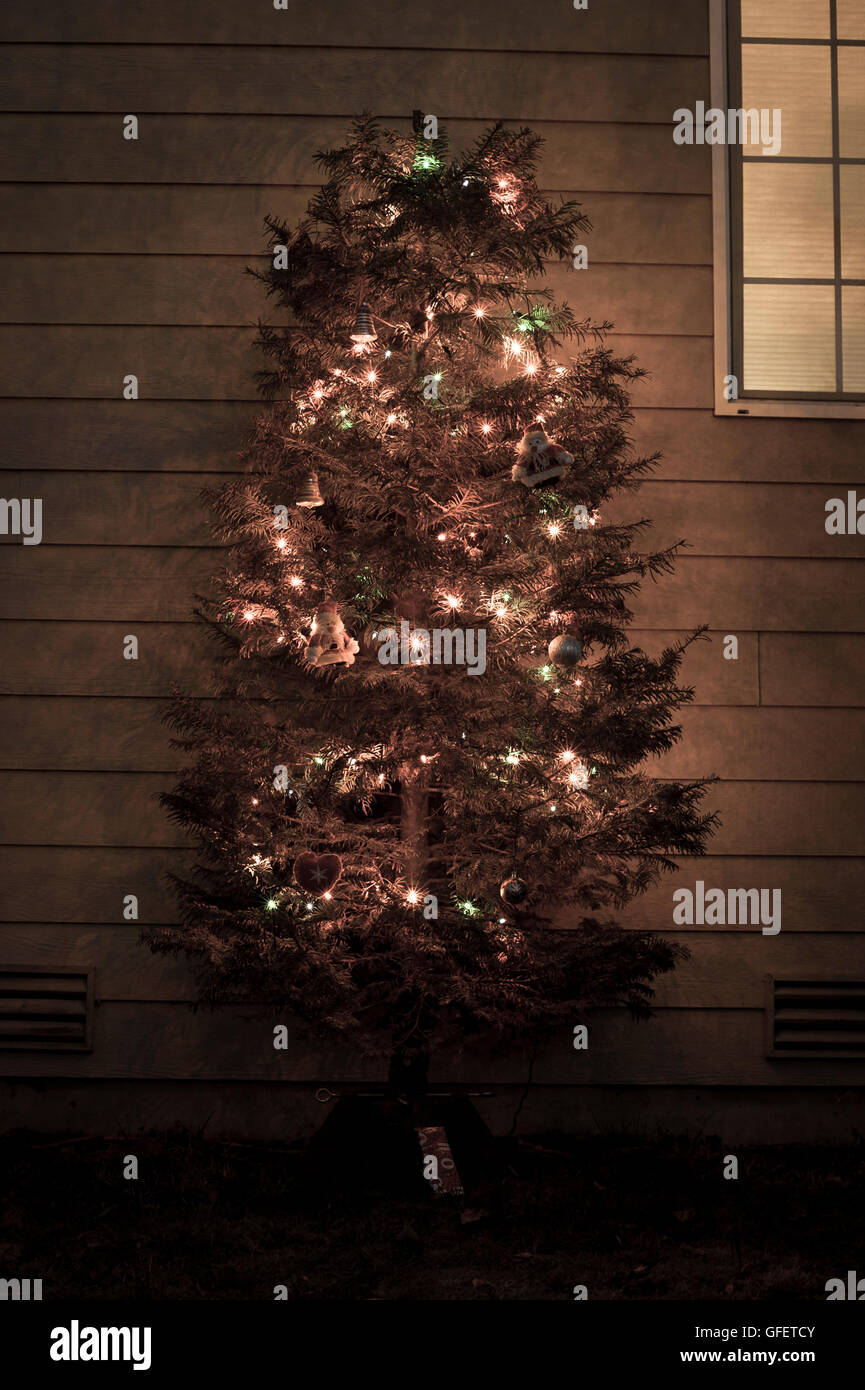 Christmas Tree In Back Yard With Window Light Stock Photo