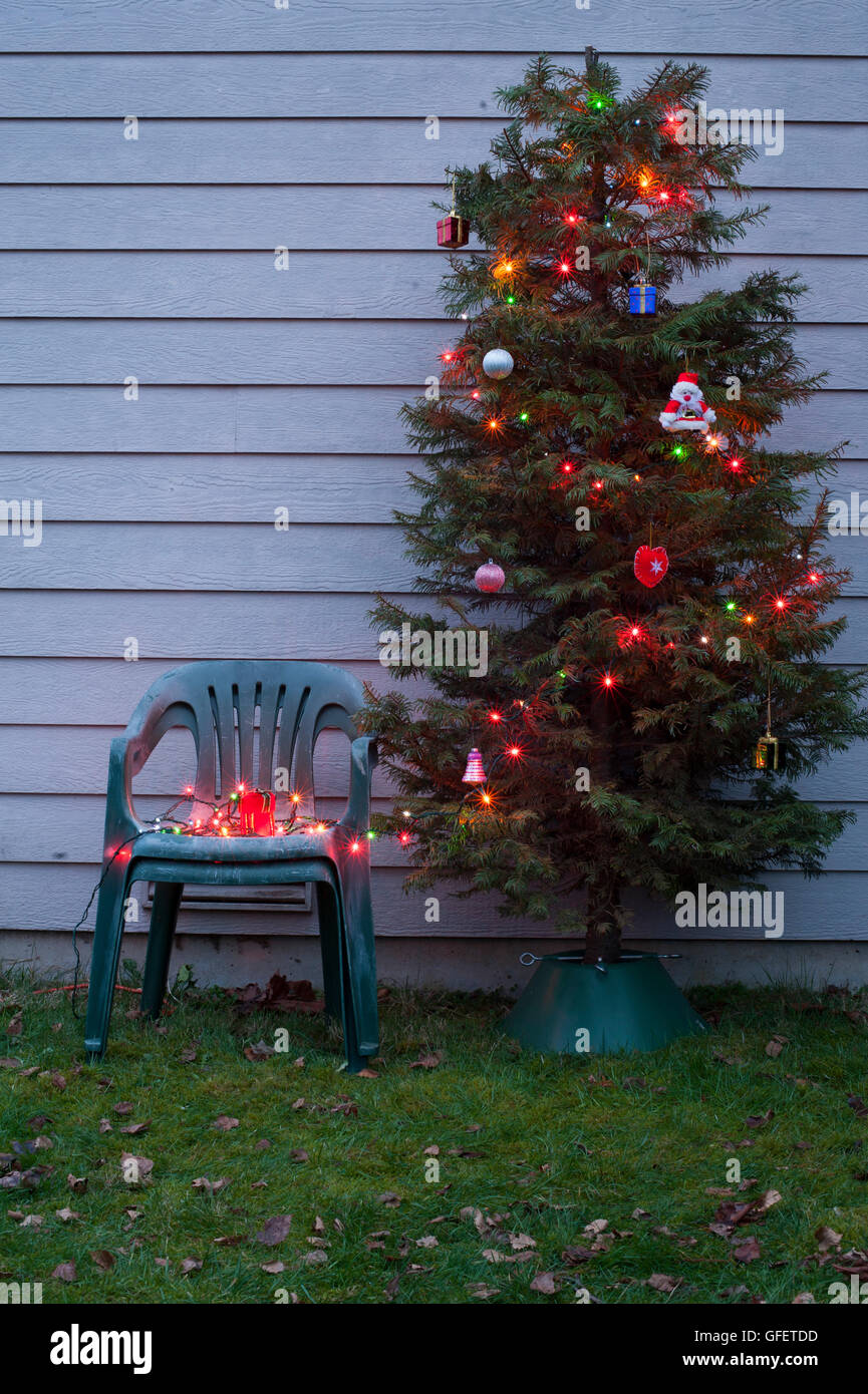 Christmas Tree And Christmas Lights In Back Yard With Lawn Chairs