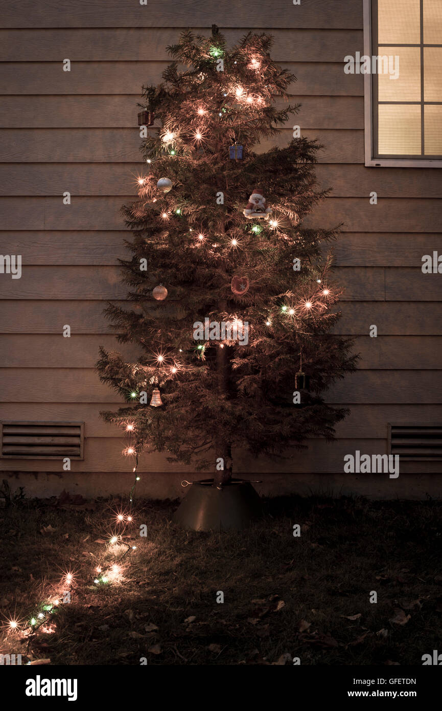 Christmas Tree Lights Yard House Decorations Xmas Stock Photo
