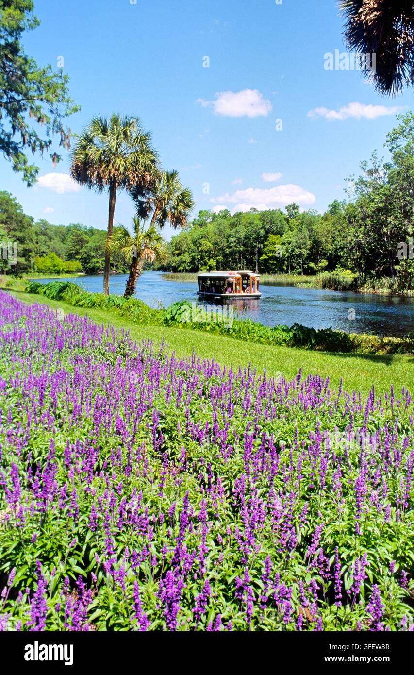 Silver Springs, Florida, USA. Glass bottom tour boat on the Silver River through extensive gardens and scenery near Ocala Stock Photo