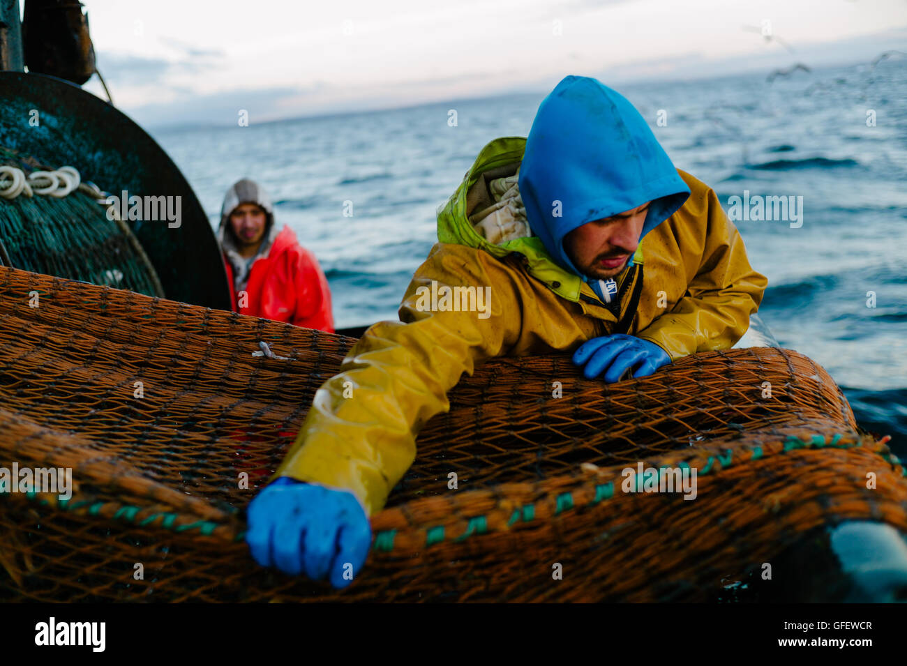 Fishermen working on a prawn trawler off the west coast of Scotland, from the port of Troon. Stock Photo