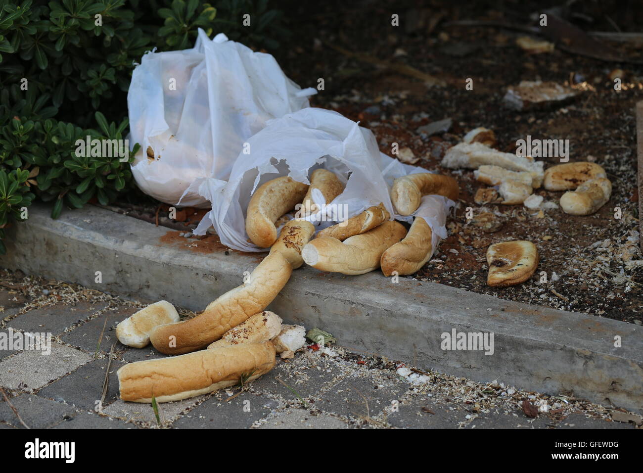 Wasted Bread Rolls. Stack of leftover buns and baguettes thrown on the a sidewalk in a white plastic bag. Food waste. Thrown away food. Stock Photo