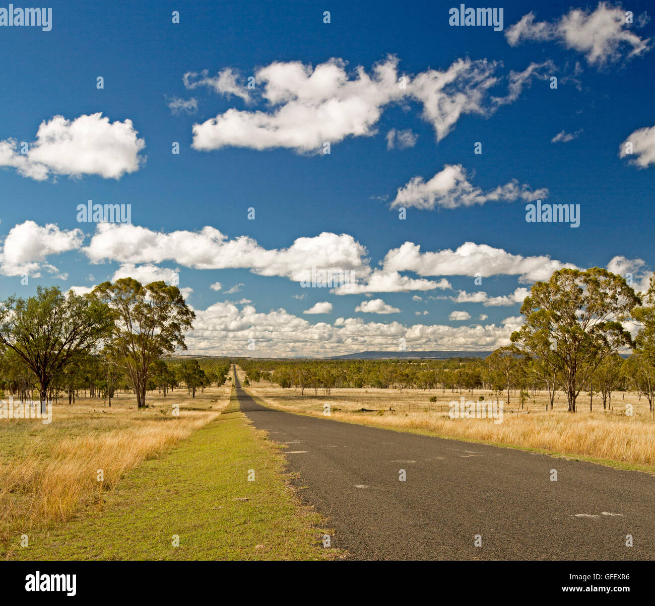 Long straight road leading through golden grasslands & eucalypt woodlands of outback Australia to distant horizon under blue sky Stock Photo