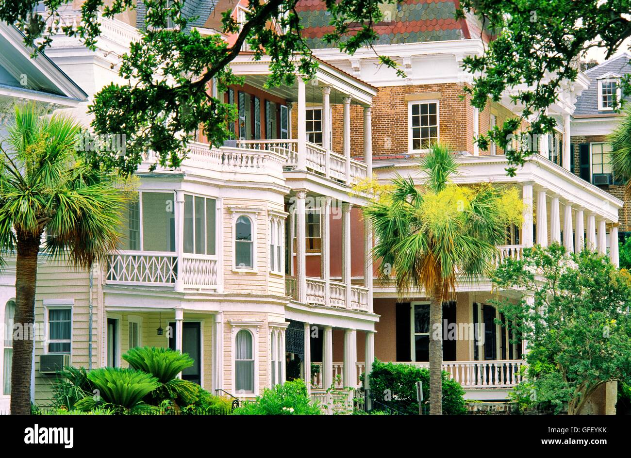 Charleston, South Carolina, USA. Old historic traditional town houses villas on the South Battery Stock Photo