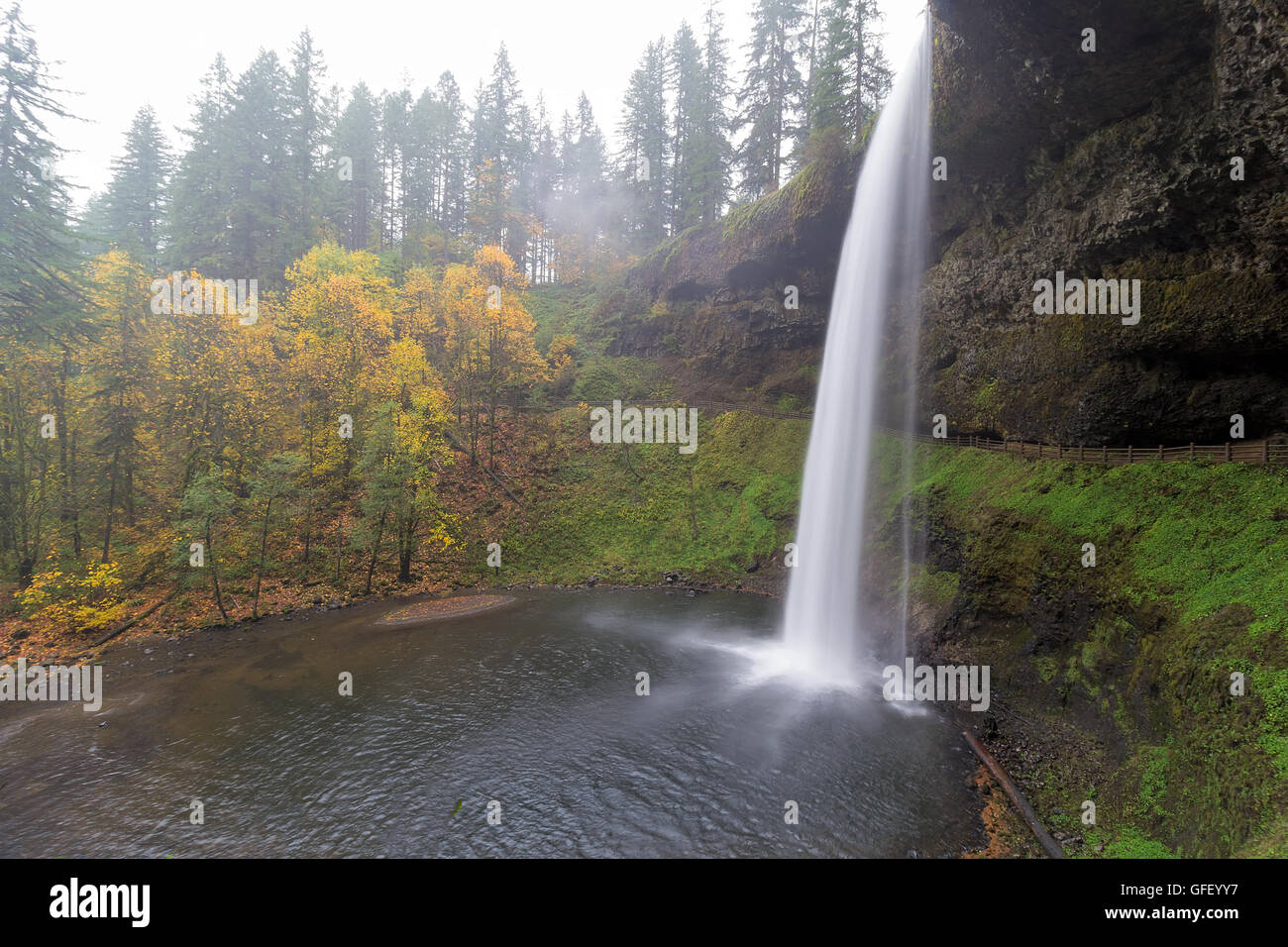 South Falls at Silver Falls State Park in Oregon during Autumn one foggy morning Stock Photo