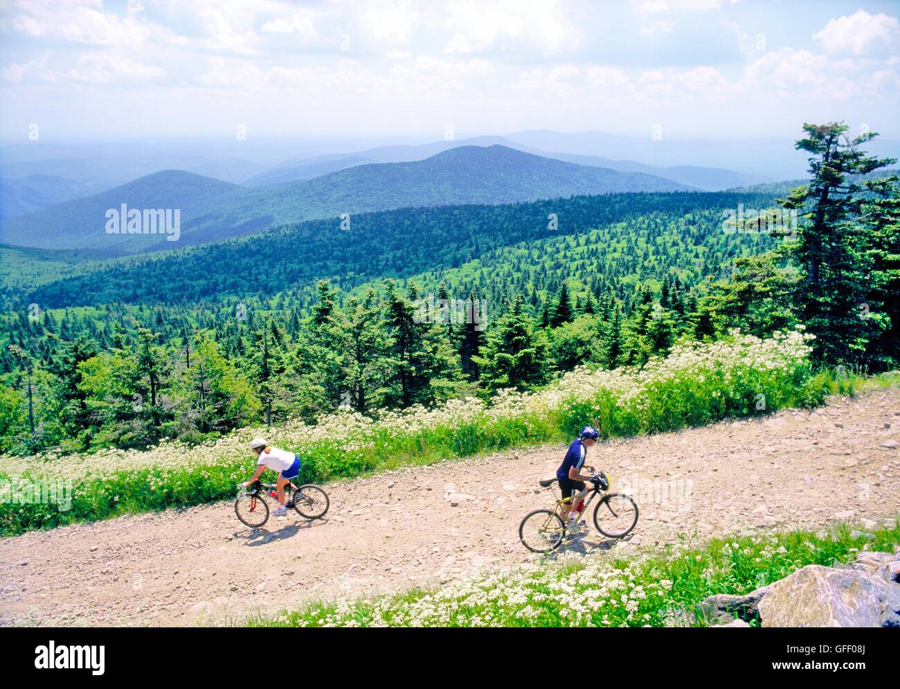 Mountain biking on trails on Killington Mountain, Vermont, New England, USA. High summer Stock Photo