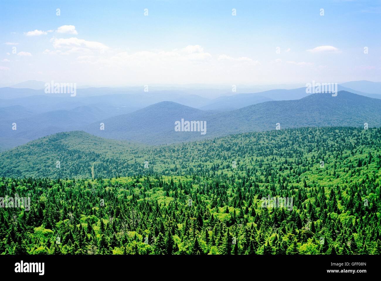 Mountain range conifer forests seen from top of Killington Mountain, Vermont, New England, USA Stock Photo