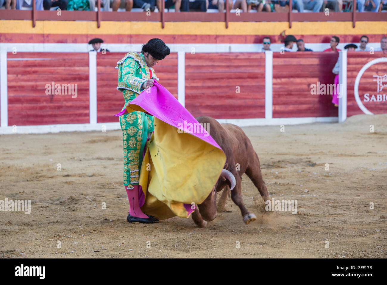 The Spanish Bullfighter Adrian de Torres bullfighting with the crutch