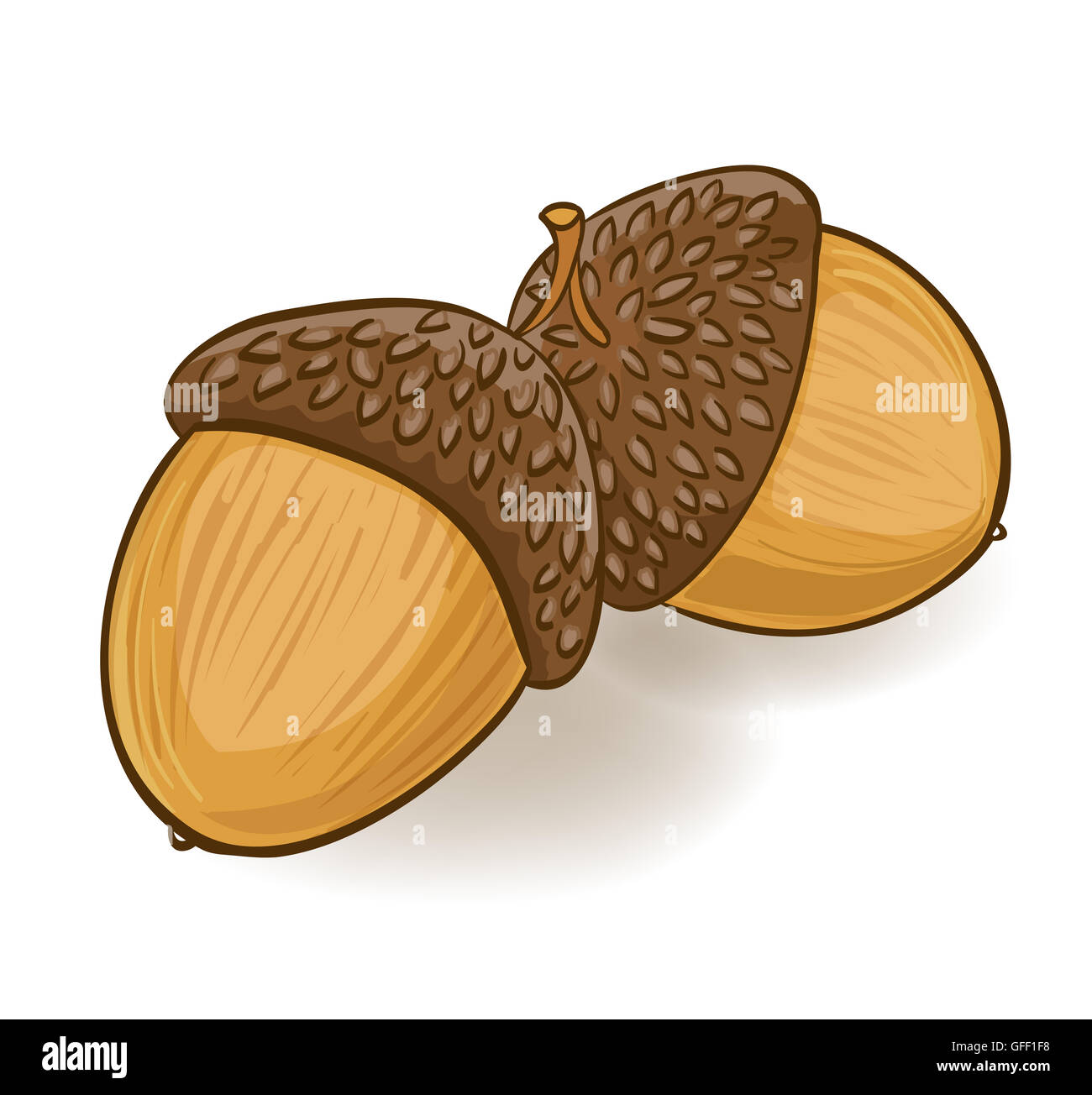 Cartoon acorns hi-res stock photography and images - Alamy