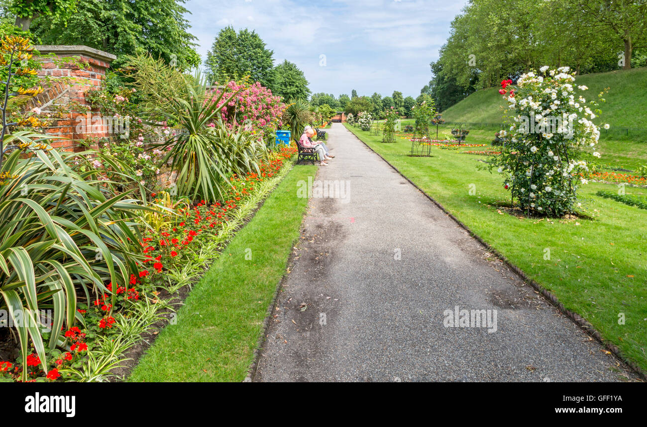 Floral beauty in abundance and people enjoying a warm summer's day in Castle Park, Colchester, County Essex, England, UK. Stock Photo
