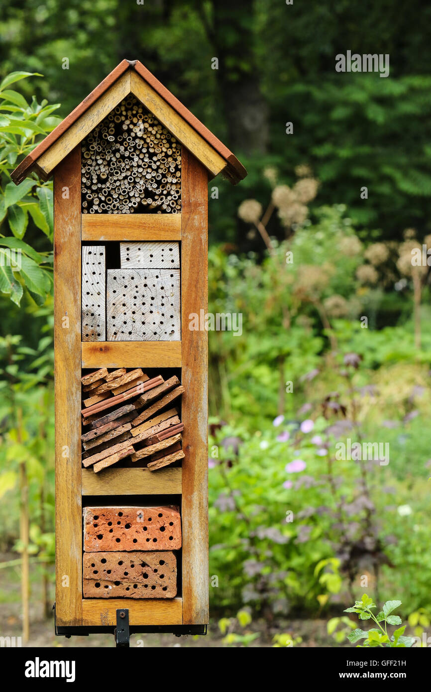 House bee hi-res stock photography and images - Alamy
