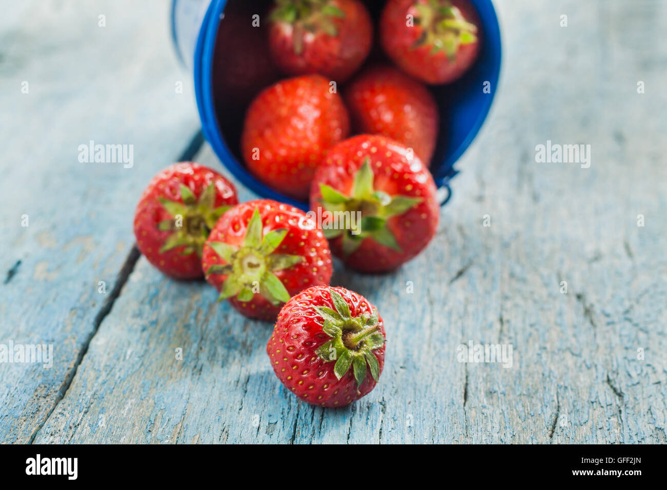 Fresh ripe strawberries in a blue bucket on a wooden background Stock ...