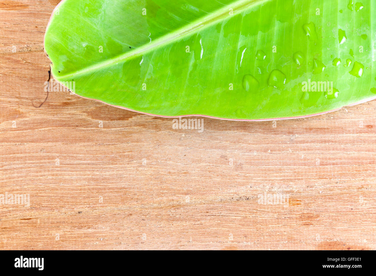 Banana leaf green color fresh on wooden background Stock Photo