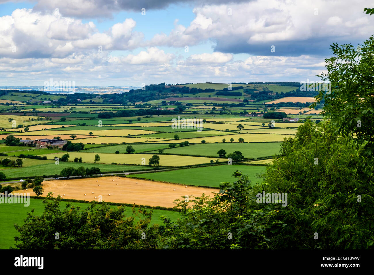 Patchwork quilt of green and gold fields in the North Yorkshire countryside Stock Photo