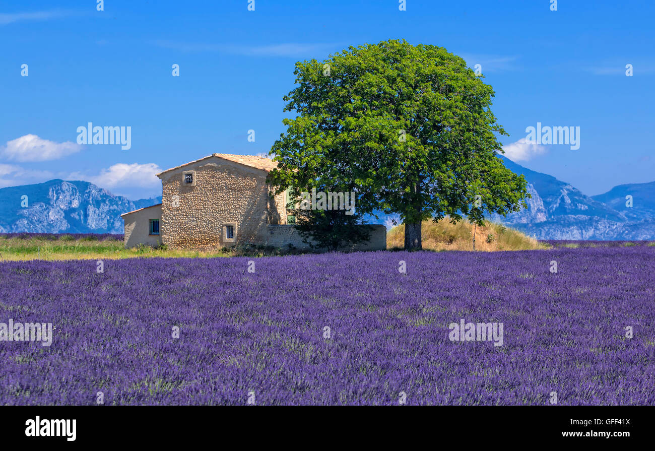 Landscape in Luberon, France Stock Photo