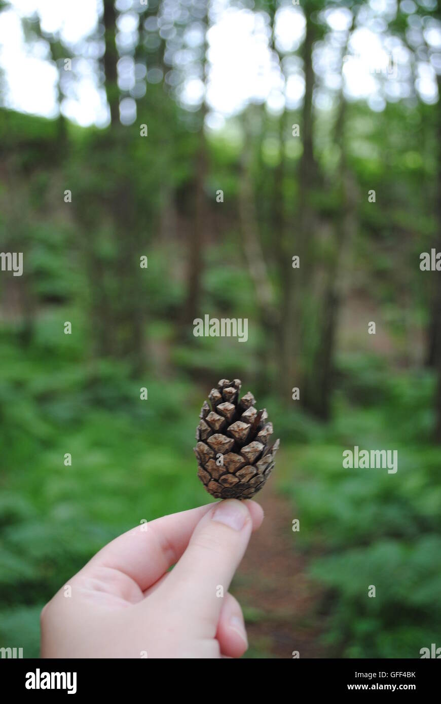 Wych Cross, Ashdown Forest, Sussex, England Stock Photo Alamy