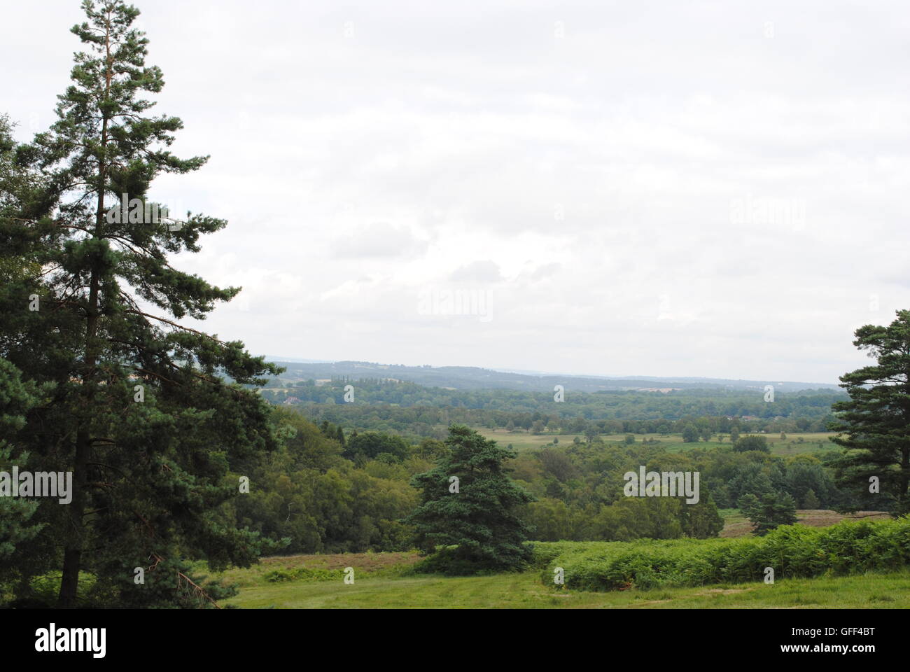 Wych Cross, Ashdown Forest, Sussex, England Stock Photo Alamy