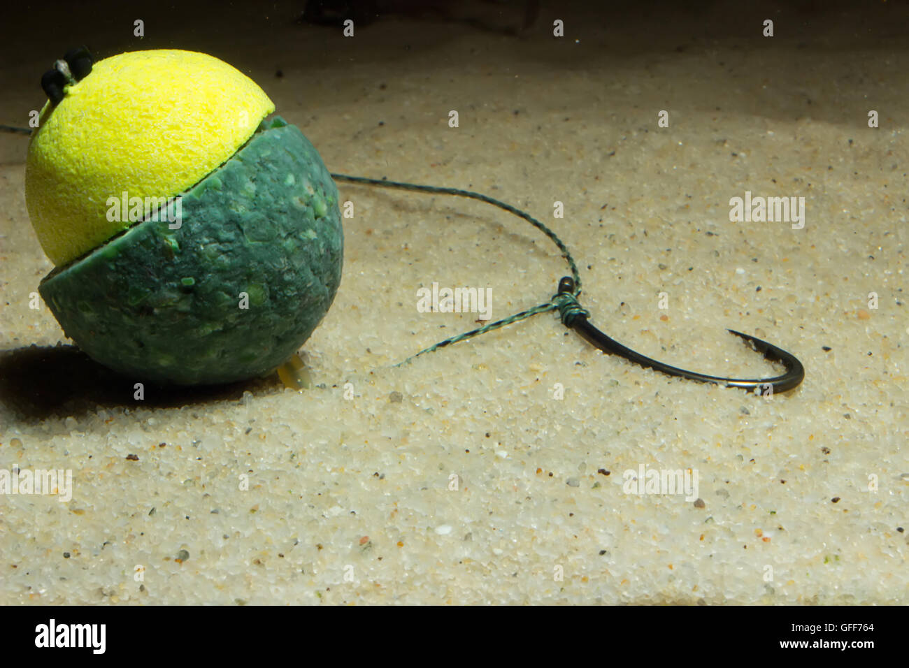 KD Snowman rig Underwater. Carp Hook Boilies Underwater. Carp fishing ... - KD Snowman Rig UnDerwater Carp Hook Boilies UnDerwater Carp Fishing GFF764