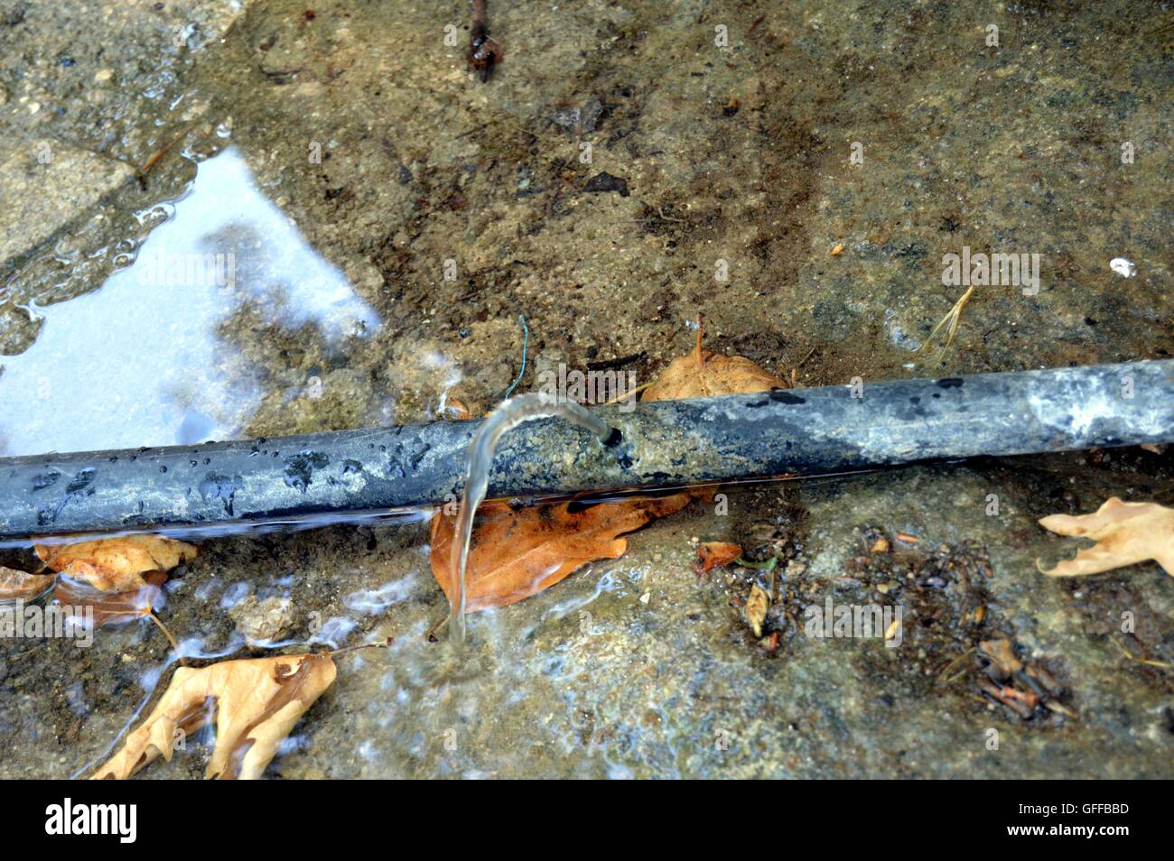 Plastic water pipe on the ground with a water leak. Stock Photo