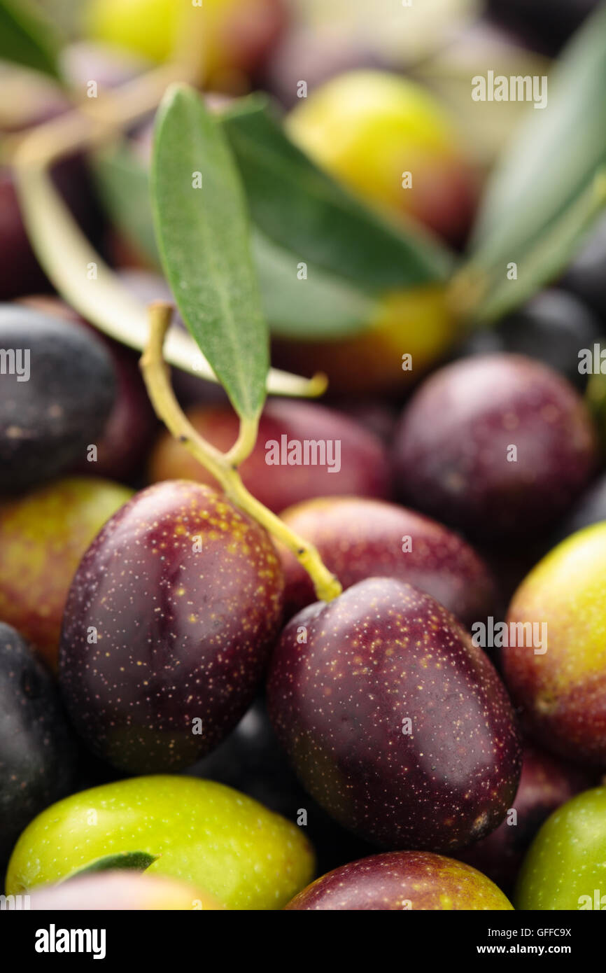 Background of fresh olives Stock Photo Alamy